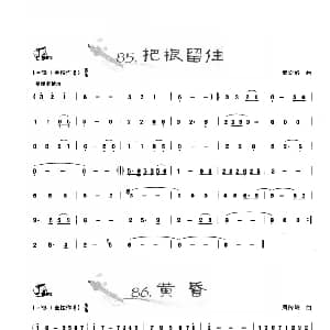 葫芦丝谱 | 葫芦丝曲精选 把根留住 黄昏 王甲坤 王甲华编著