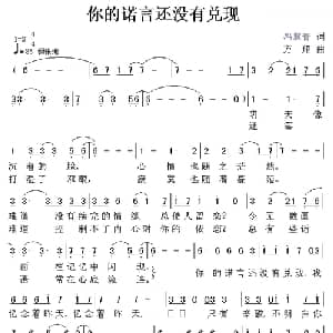 你的诺言还没有兑现_通俗唱法乐谱_词曲:冯慧青 方翔
