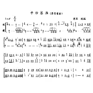 平沙落雁 琴箫重奏 茅原改编