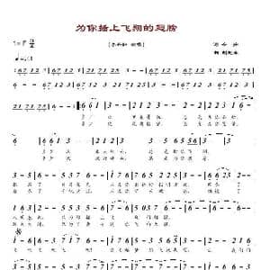 为你插上飞翔的翅膀_歌谱投稿_词曲:辛茹 胡旭东