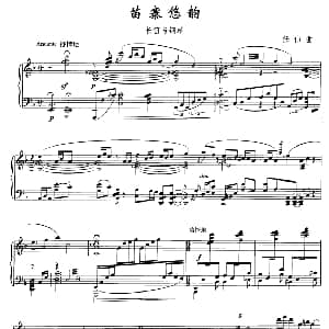 长笛曲谱 | 苗寨悠韵 长笛 钢琴 任伟