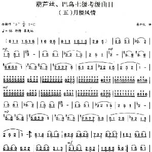 巴乌七级考级曲目 月楼风情 易加义