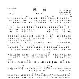 橙花_歌曲简谱_词曲:黄仲麟 KANG JI WON