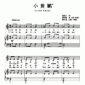 小黄鹂_儿歌乐谱_词曲:廖泽川 廖俏俏