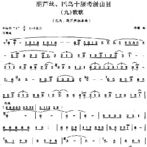 巴乌十级考级曲目 牧歌 李镇