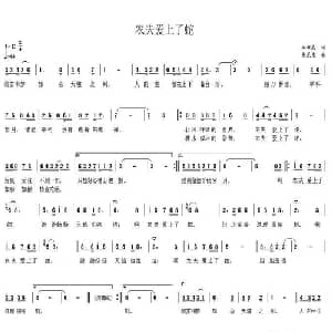 农夫爱上了蛇_通俗唱法乐谱_词曲:林雄威 韦龙东