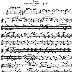 长笛曲谱 | 库劳长笛二重奏大练习曲Op.39 Flute 1 No.1 Kuhlau 库劳