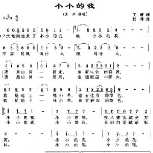 小小的我_通俗唱法乐谱_词曲:王健 付林