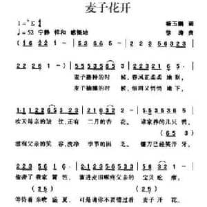 麦子花开_民歌简谱_词曲:杨玉鹏 徐涛