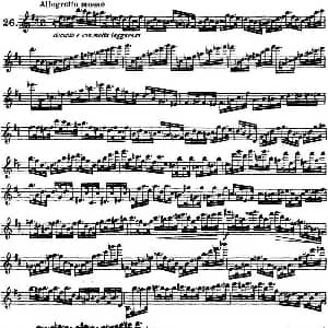 长笛曲谱 | 柯勒30首高级长笛练习曲作品75号 NO.26 Kohler 柯勒