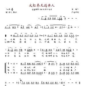 大红枣儿送亲人_歌谱投稿