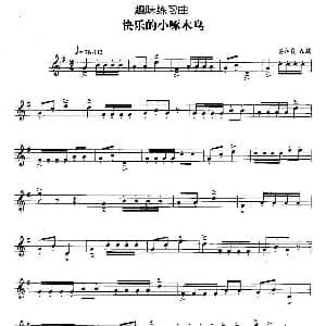 趣味练习曲 快乐的小琢木鸟