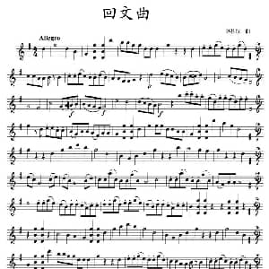 小提琴谱 | 回文曲 小提琴二重奏