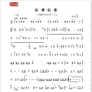 绿野仙踪 洞箫演奏 月照制谱版