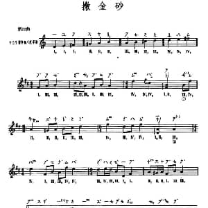 琵琶谱 | 撒金沙 敦煌琵琶曲谱 第22曲