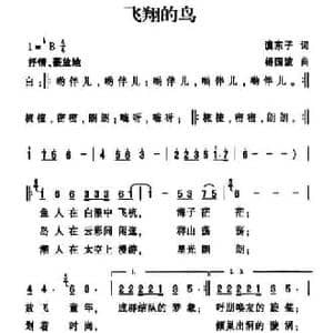 飞翔的鸟_民歌简谱_词曲:滇东子 杨国波
