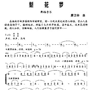 梨花梦 舞蹈音乐 廖卫华