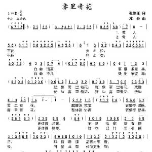雾里看花_通俗唱法乐谱_词曲:张继征 邓俭