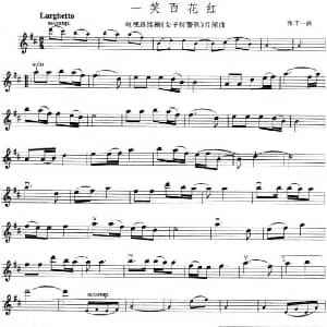 小提琴谱 | 一笑百花红 电视剧 女子特警队 片尾曲 张千一