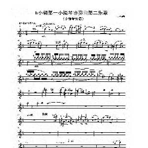 小提琴谱 | b小调第一小提琴协奏曲第二乐章 独奏小提琴分谱 项道荣