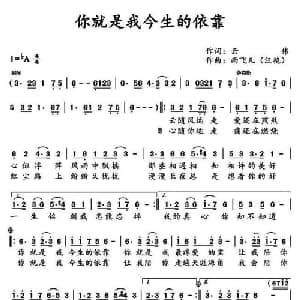 你就是我今生的依靠_通俗唱法乐谱_词曲:云伟 汪艳 雨飞儿