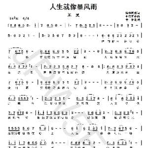 人生就像暴风雨_歌曲简谱_词曲:徐晓岚 李勇军