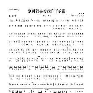 别再轻易对我许下承诺_歌曲简谱_词曲:王浩 王浩