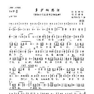 多少相思泪_歌曲简谱_词曲:张和平 张平福