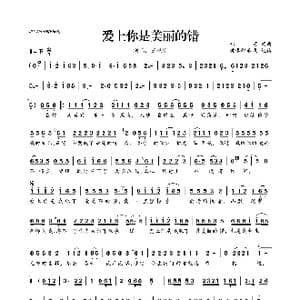 爱上你是美丽的错_歌曲简谱_词曲:郑好 郑好