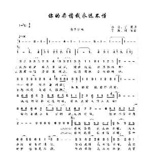 你的柔情我永远不懂_歌谱投稿_词曲:洛冰 丁原 丁原 周迪