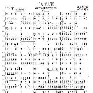 葫芦丝谱 | 月光下的凤尾竹 卢雄山编改版 施光南曲 卢雄山编改