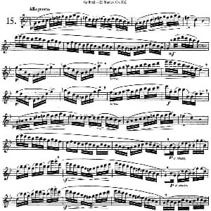 长笛曲谱 | 二十首练习曲作品132号之15 Garibold 加里波第