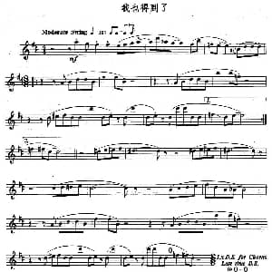 长笛曲谱 | 我也得到了