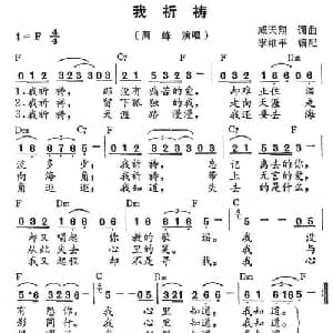 我祈祷_通俗唱法乐谱_词曲:臧天翔 臧天翔