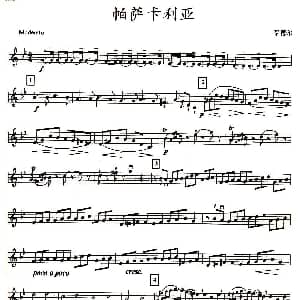 小提琴谱 | 帕萨卡利亚 四重奏之第二小提琴