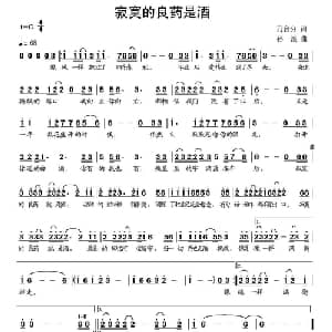 寂寞的良药就是酒_通俗唱法乐谱_词曲:乃舍分 孙浪