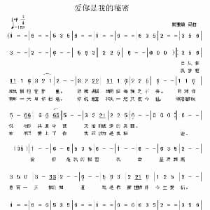 爱你是我的秘密_通俗唱法乐谱_词曲:梅兼毓 梅兼毓