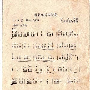 社员都是向阳花_歌谱投稿_词曲: 王玉西曲司徒华城定指法