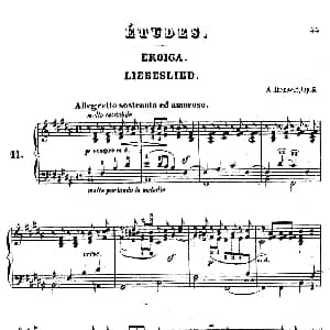 Douze Etudes de Salon Op.5 钢琴谱 阿道夫 冯 亨赛尔特