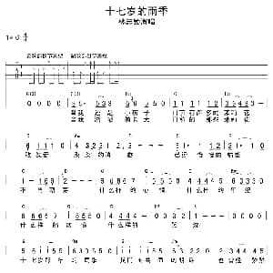 十七岁的雨季 吉他谱 林志颖