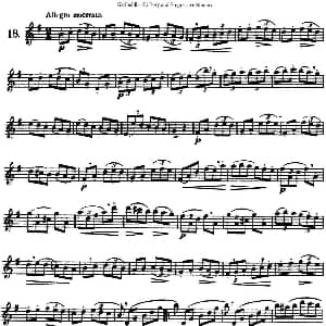 长笛曲谱 | 三十首基础及提高练习曲 NO.18 Garibold 加里波第