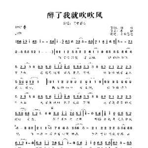 醉了我就吹吹风_歌曲简谱_词曲:胡琳 春妹