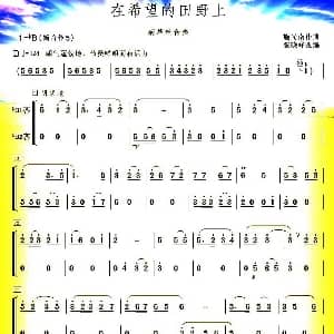 葫芦丝谱 | 在希望的田野上 张晓峰改编