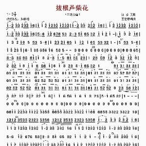 拔根芦柴花_歌曲简谱_词曲: 王爱康编曲
