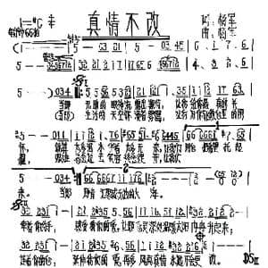 真情不改_歌谱投稿_词曲:杨军 杨军