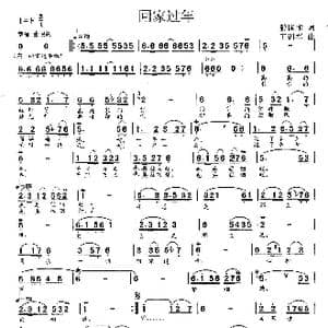 回家过年_歌曲简谱_词曲:赖国术 王训军