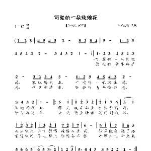 可爱的一朵玫瑰花_歌谱投稿