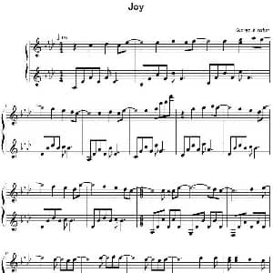 Joy 钢琴谱 George Winston