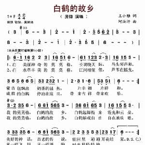 白鹤的故乡_歌谱投稿_词曲:王小雅 阿汝汗