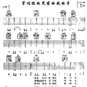 穿过你的黑发我的手 吉他谱 罗大佑 罗大佑 罗大佑